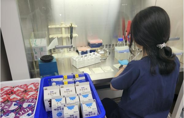 대전보건환경硏, 유가공품 안전성 검사 결과 '모두 적합’  기사 이미지