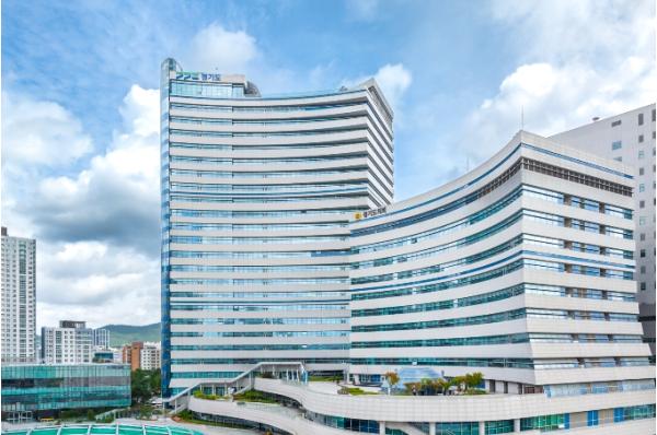 경기도 유통 친환경 농산물 249건 잔류농약 검사 ‘모두 적합’ 기사 이미지