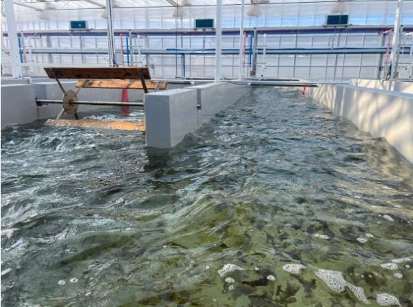 전북자치도, 육상 김 연중 생산 기술 특허 등록 기사 이미지