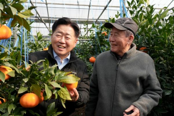 제주도, 미국산 만다린 무관세 대응전략 본격 가동 기사 이미지