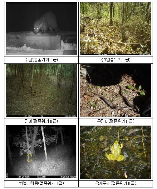 기후에너지환경부, 국립공원 내 숨겨진 습지 9곳에서 멸종위기 야생생물 9종 보금자리로 확인 기사 이미지
