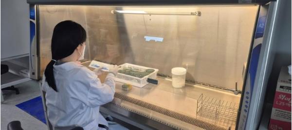 전남보환연, 설 연휴 감염병 비상대응체계 가동 기사 이미지