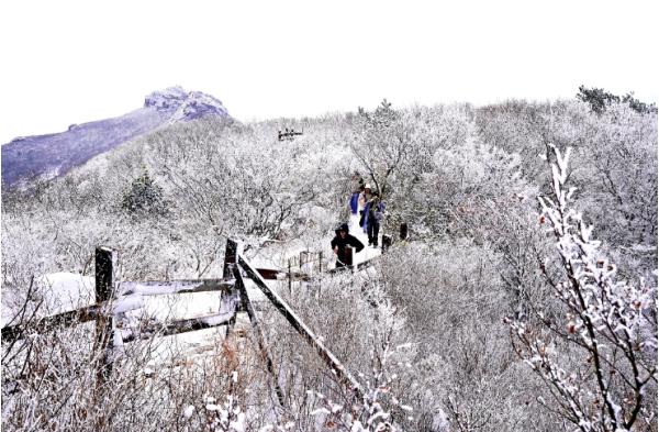 설 연휴, 붉은말의 기운 가득한 해남으로 놀러 오세요 기사 이미지