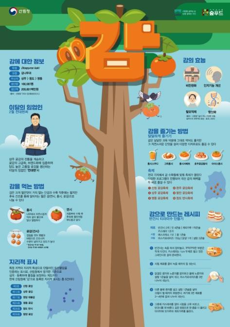 산림청, 2월 이달의 임산물로 '감' 선정 기사 이미지
