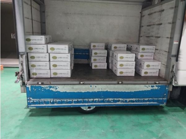 제주도 농업기술원, 봄 재배용 수경재배 씨감자 8.1톤 공급 완료 기사 이미지