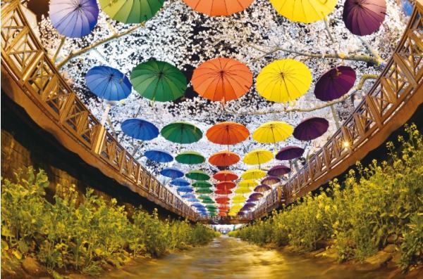 경남 문화관광해설사, 매주 라디오로 경남 관광 매력 알린다 기사 이미지