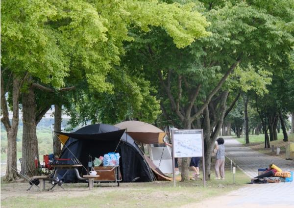 명품 휴양지 영동 송호관광지, 봄과 함께 오는 4월 3일 야영장 개장 기사 이미지