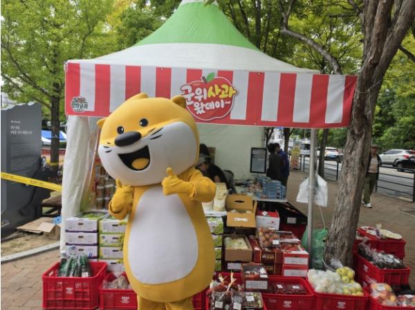 군위군, 수성못페스티벌서 ‘군위사과’알린다 기사 이미지